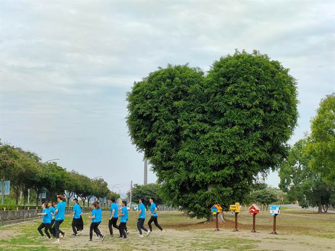 学校教职员只要拍照打卡并标记感谢对象，就可兑换小盆栽，有外籍生特别到爱心树前视讯，希望透过巨大爱心树传递满满的思念与感谢。(吴建辉摄)