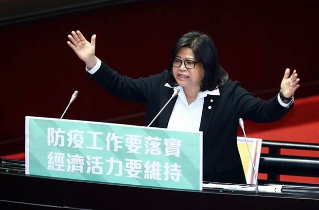 民进党立委王美惠。（报系资料照）