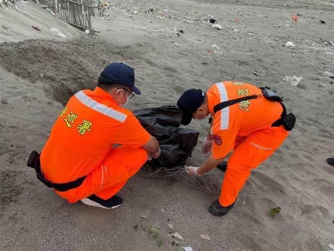海巡署第三岸巡队外埔安检所官兵获报在后龙外埔合欢石沪岸际发现1只搁浅亡的榄蠵龟。（海巡署第三岸巡队提供／谢明俊苗栗传真）