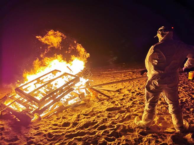金門烏沙頭海灘1日發生一頭海漂死豬，已就地焚燒掩埋。（金門縣防疫所提供）