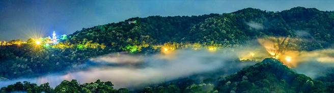 横山大山背壮观的「琉璃云海桐花」。（锺招礼提供／罗浚滨新竹传真）