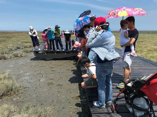 高美野生动物保护区生物多样性生态体验活动5月至8月共规划8场，由协会人员解说并带领民眾走入高美湿地。（台中市农业局提供／王文吉台中传真）