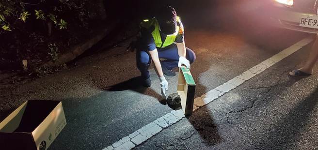 通霄警分局中和所员警接获民眾报案，前往苗37线道救援一只领角鸮。（通霄警分局提供／谢明俊苗栗传真）