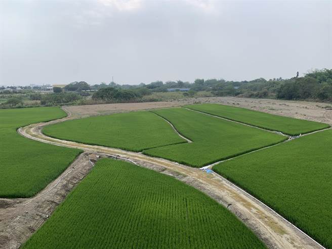 嘉南大圳灌溉水路綿延超過1萬6000公里，是台南市公告文化景觀，也是世界遺產潛力點之一。（台南市文化資產處提供／曹婷婷台南傳真）
