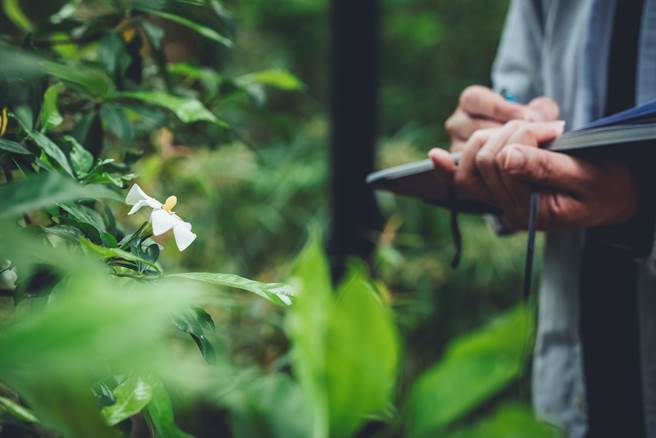 相对拍照，科学绘图所耗费的时间更长，却也能让现代人慢下心来观察周遭的步调。（摄影／张晋瑞）