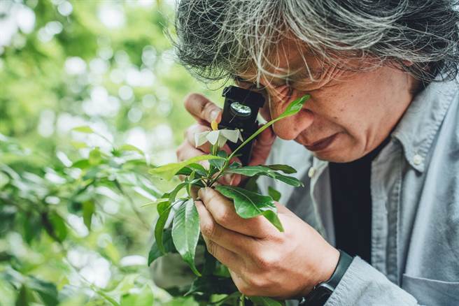 科学绘图至今依旧是科学研究的重要工具之一，能够帮助研究人员深入理解物种。（摄影／张晋瑞）