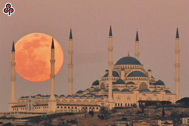 中央气象局天文预报显示，今年5月26日将发生月全食，也适逢年度最大满月，台湾各地于当日傍晚18时30分左右月亮东升后，可见到月出带食的月食过程，过程中19时09分至19时28分的月面全食阶段，将可见到暗红色的大满月月面。图为示意图。（本报系资料照）