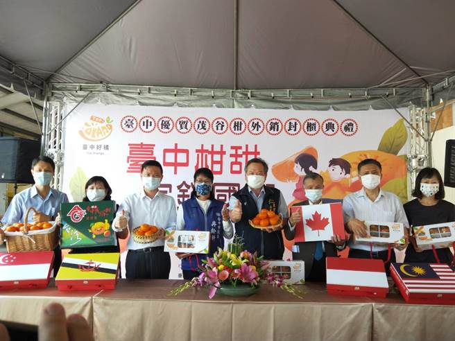 「台中柑甜，完銷國際」封櫃典禮6日舉行，今年茂谷柑共計500公噸外銷至大陸。（陳淑娥攝）