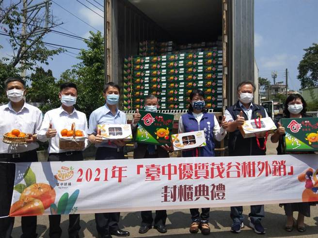 「台中柑甜，完銷國際」封櫃典禮6日舉行，今年茂谷柑共計500公噸外銷至大陸。（陳淑娥攝）