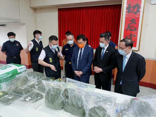 新竹市第三分局破获今年以来北台湾最大大麻工厂，起初事值5亿元的活株与成品。（邱立雅摄）