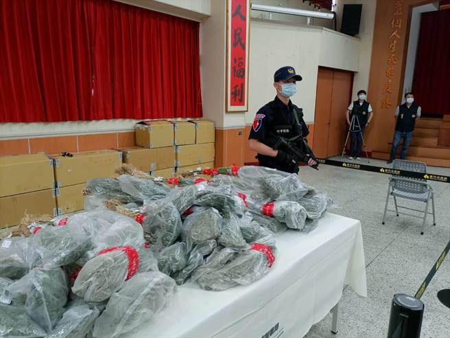 新竹市警方破获今年北台湾最大大麻工厂，查扣的1540株大麻处理困难，请辖内米粉业者帮烘乾。（邱立雅摄）