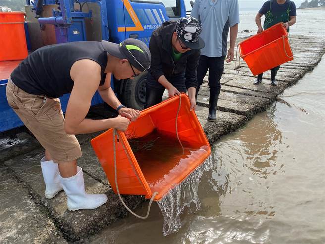 县水产试验所趁满潮时分，在建功屿水域放流7万尾蟹苗。（金门县水试所提供）