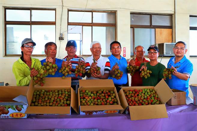 恒春玉荷包７日开卖，针对卖价，农友普遍看涨。（谢佳潾摄）