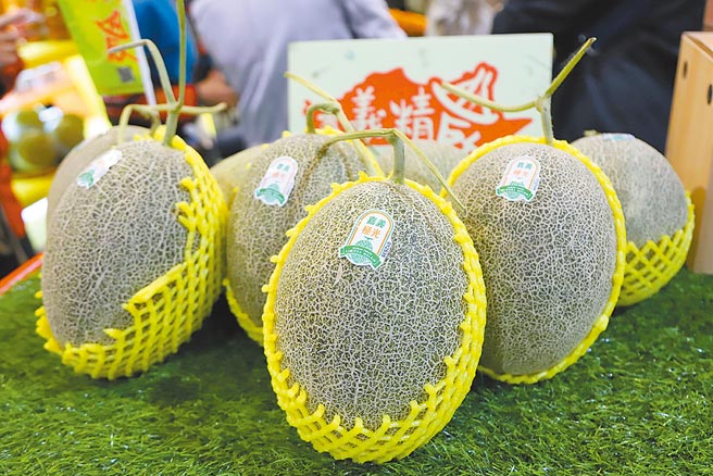 「嘉义极光－欧若拉」哈密瓜名气大，仿间冒牌货愈来愈多，嘉义县政府除取得经济部智慧财产局核准的商标权，也印制可追溯生产者的标章贴纸供农民申请。（嘉义县政府提供／吕妍庭摄）