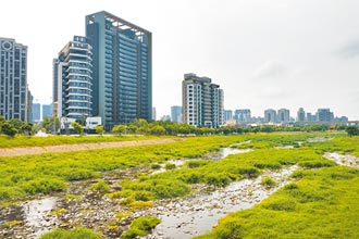 桃園房市 大吹邊建邊售風