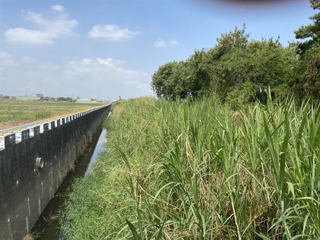 菁寮排水改善前狀況。(台南市水利局提供／劉秀芬台南傳真)