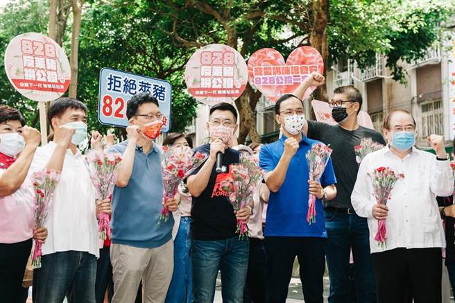 国民党主席江启臣（前左四）、前主席朱立伦（右三）、前副主席郝龙斌（前左二）、智库副董事长连胜文（右二）、中广董事长赵少康（前左三）等人8日出席「宠爱妈咪、响应828公投」活动，除街头分送康乃馨给妈妈们，也呼吁民眾支持反莱猪公投。
