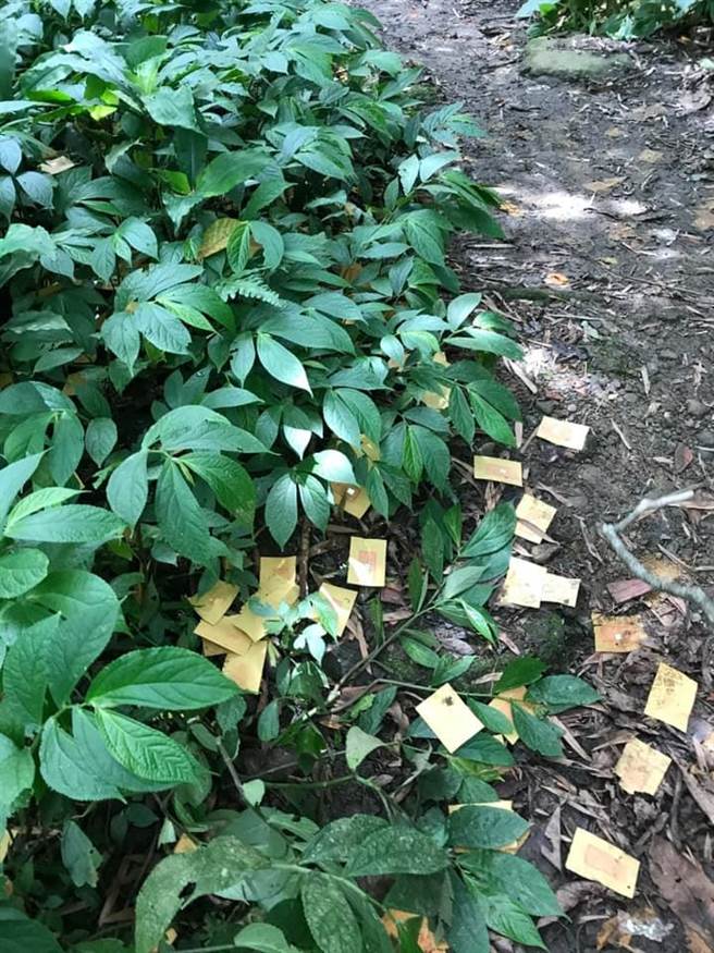 大溪顺和煤矿遭喷漆撒冥纸。(朱文荣提供／吕筱蝉桃园传真)