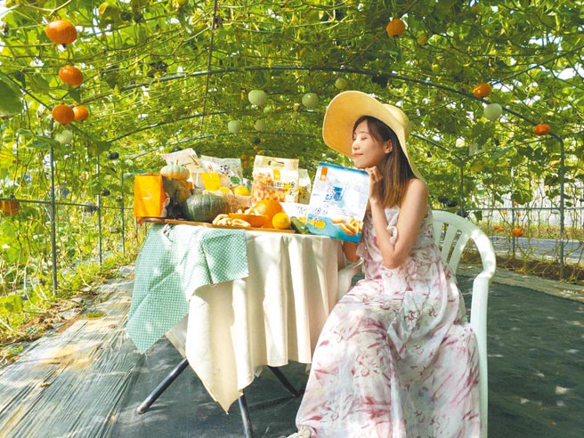 淡水区淡金路五段有8座总长250公尺的南瓜隧道。（新北市农业局提供／许哲瑗新北传真）