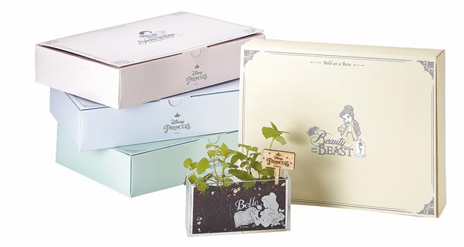 HOLA迪士尼公主个人植栽小美人鱼（百里香）、灰姑娘（百日菊）、美女与野兽（香蜂草）、白雪公主（洋甘菊），原价1280元／件，特价799元／件。（HOLA提供）