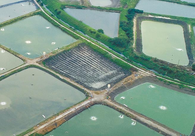 政院農業委員會推動「養殖漁業生產調節獎勵措施」降低疫情對產業的衝擊。（臺南市政府農業局提供）