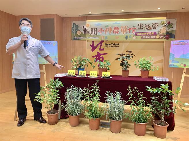 新北市卫生局今举办「小神农华佗生态营」发布记者会，中医师介绍药草功效与品种。（许哲瑗摄）