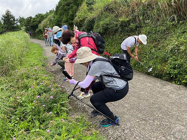阳明山群蝶飞舞 草山赏蝶趣！(图/阳管处)