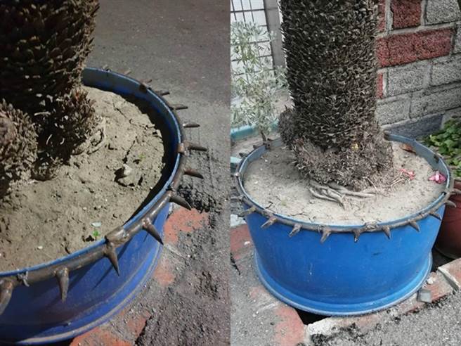 有民眾目击云林县虎尾镇一处巷弄的花盆上竟装上1圈锋利的铁刺，导致行经的车辆的轮胎被刺破。（翻摄自脸书虎尾人讚出来）