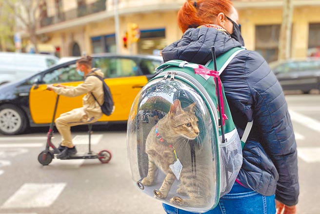 英国政府8日宣布成立宠物失窃特别工作小组，因应激增的宠物窃盗案件。图为背着宠物的行人。（路透）