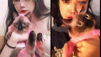 女大生將愛貓染成「粉紅KITTY」遭公審 反嗆：我有錢請律師