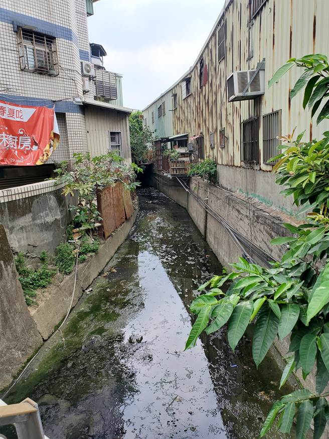 新北市土城区大安圳东支线因家庭废水不断排入，导致恶臭味飘散，水利局预计5月中旬进场施作子沟，改善淤积问题。（蔡雯如摄）