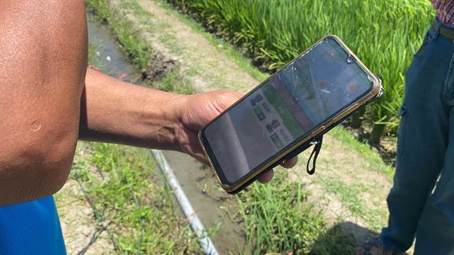 农友王顺和示范如何用手机操控灌溉系统。（罗亦晽摄）