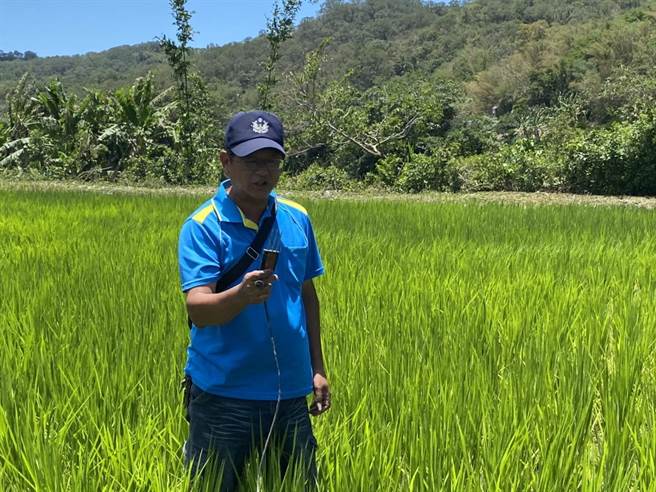 农友王顺和说，以往每2天至少要到田里巡水一次，装设监控设备后，就能在手机上「顾田」。（罗亦晽摄）
