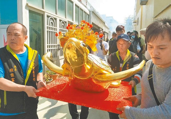 全台最大黄金龟王澎湖上帝庙390两「金灵龟」公开亮相，将安座寺庙提供参观分享喜悦。（陈可文摄）