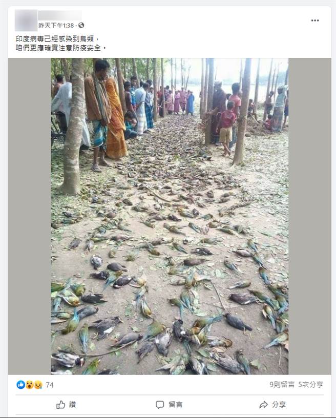 網傳「印度新冠病毒已經感染到鳥類」的鳥屍遍地照，經「台灣事實查核中心」查證後，已知是錯誤訊息，民眾勿以訛傳訛，繼續散播。（圖／社群平台傳言截圖）