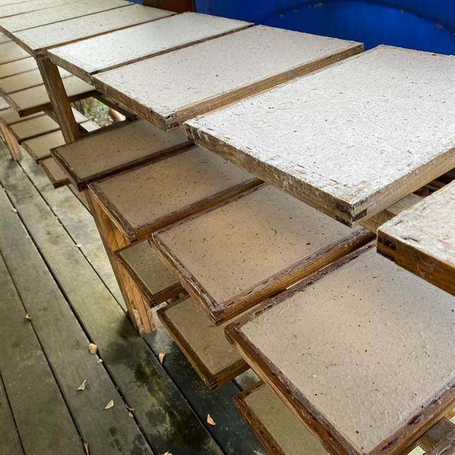 張氏農場食農體驗帶遊客製作白蓮霧樹枝紙漿，製作獨一無二的版畫。（張氏農場提供／劉秀芬台南傳真）