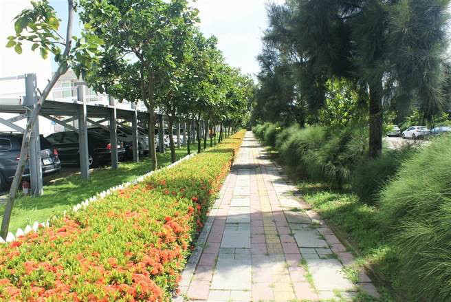 園區廠商退縮地改善後情形。（林試所提供）