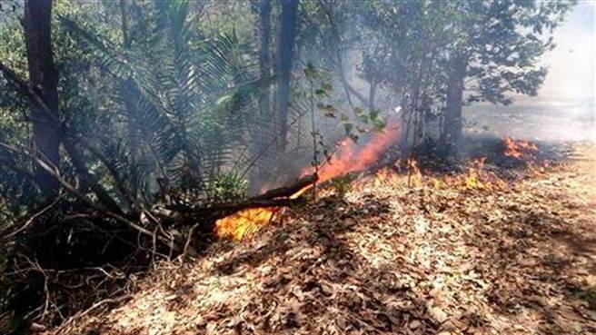 惠蓀林場森林火災，延燒5公頃還在燒。（南投縣消防局提供／廖志晃南投傳真）