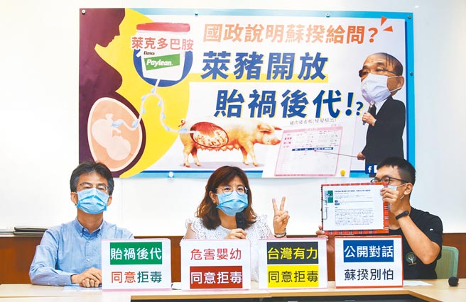 反莱猪公投8月28日登场，民间团体12日提出国际期刊最新研究，证实吃到莱剂的怀孕母猪会产下低活力小猪，呼吁全民投下同意票杜绝莱猪进口。（陈信翰摄）