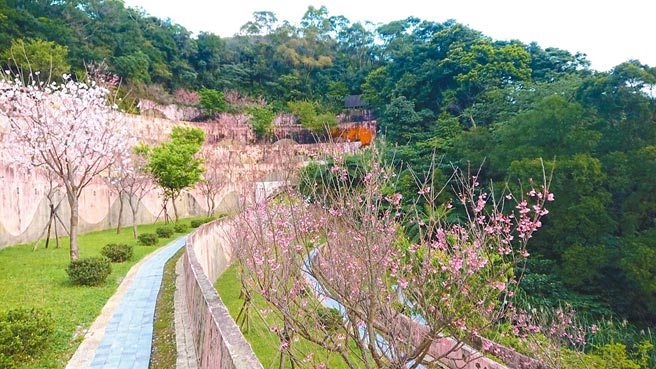 新北市民政局表示，公告迁葬期间内在新店四十份公墓、三芝樱花生命园区、金山环保生命园区选择环保葬或海葬，可获鼓励金1万元。（许哲瑗摄）