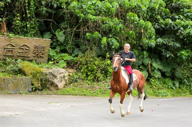 騎馬體驗不但教你上馬、下馬、執韁繩、轉彎、停步等技巧，有騎術經驗的人還能享受策馬入林的快感。(圖/行遍天下提供)