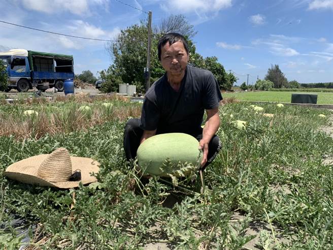 云林县四湖乡西瓜农吕荣腾罹患舌癌，坚持自力更生养活1家5口。（张朝欣摄）