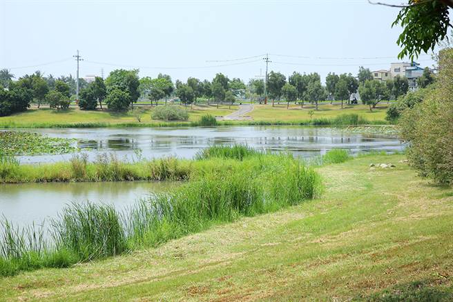 冈山滞洪池面积近60公顷，有效分担典宝溪和大寮排水的通洪量。（摄影/Carter）