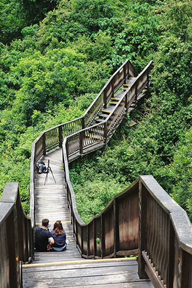 位于茂林部落里的龙头山步道，近来成为许多网友拍照打卡的热门景点。（摄影/曾信耀）