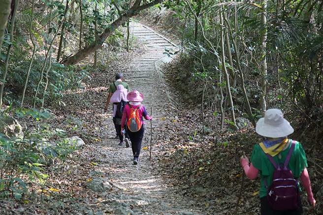 半屏山园区位在高雄市区，不用长途跋涉，就能登山踏青。(摄影/Carter)