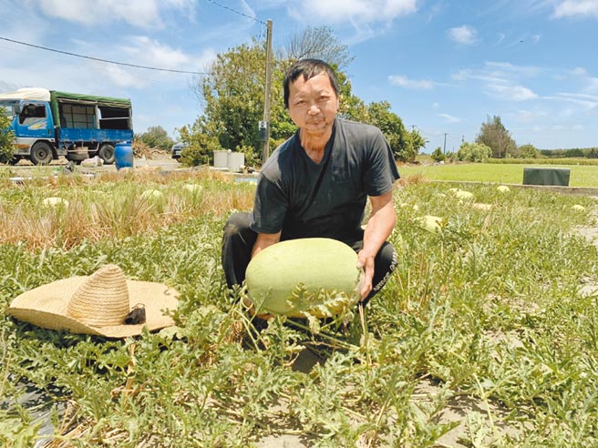 云林县四湖乡西瓜农吕荣腾罹患舌癌，坚持自力更生养活1家5口。（张朝欣摄）