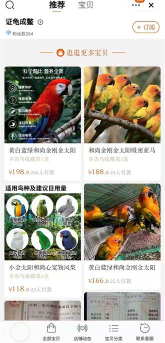 躲避查緝使用密語販售 大陸網路交易平台非法販售保護鳥種