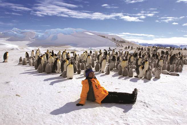 所有的帝王企鹅居然慢慢像我靠拢，跟我一起用复音和弦或是单音鸣叫呼应着(《每一趟旅行都是爱与梦的分享》/四块玉文创)