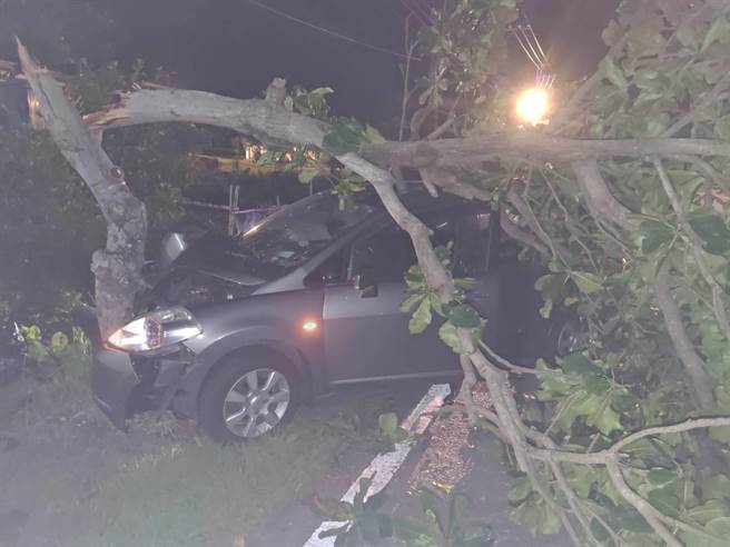 1辆自小客车18日深夜23时许行经台11线长滨乡真柄段时发生自撞路树事故。（台东县警局提供／蔡旻妤台东传真）