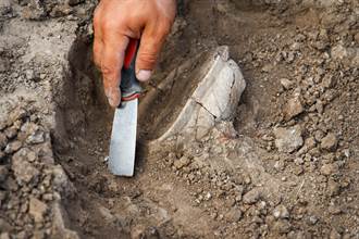 史上最長人類糞化石曝光 歷經1200年仍保存完整
